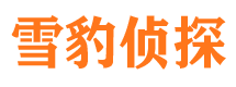 泸定市婚姻调查